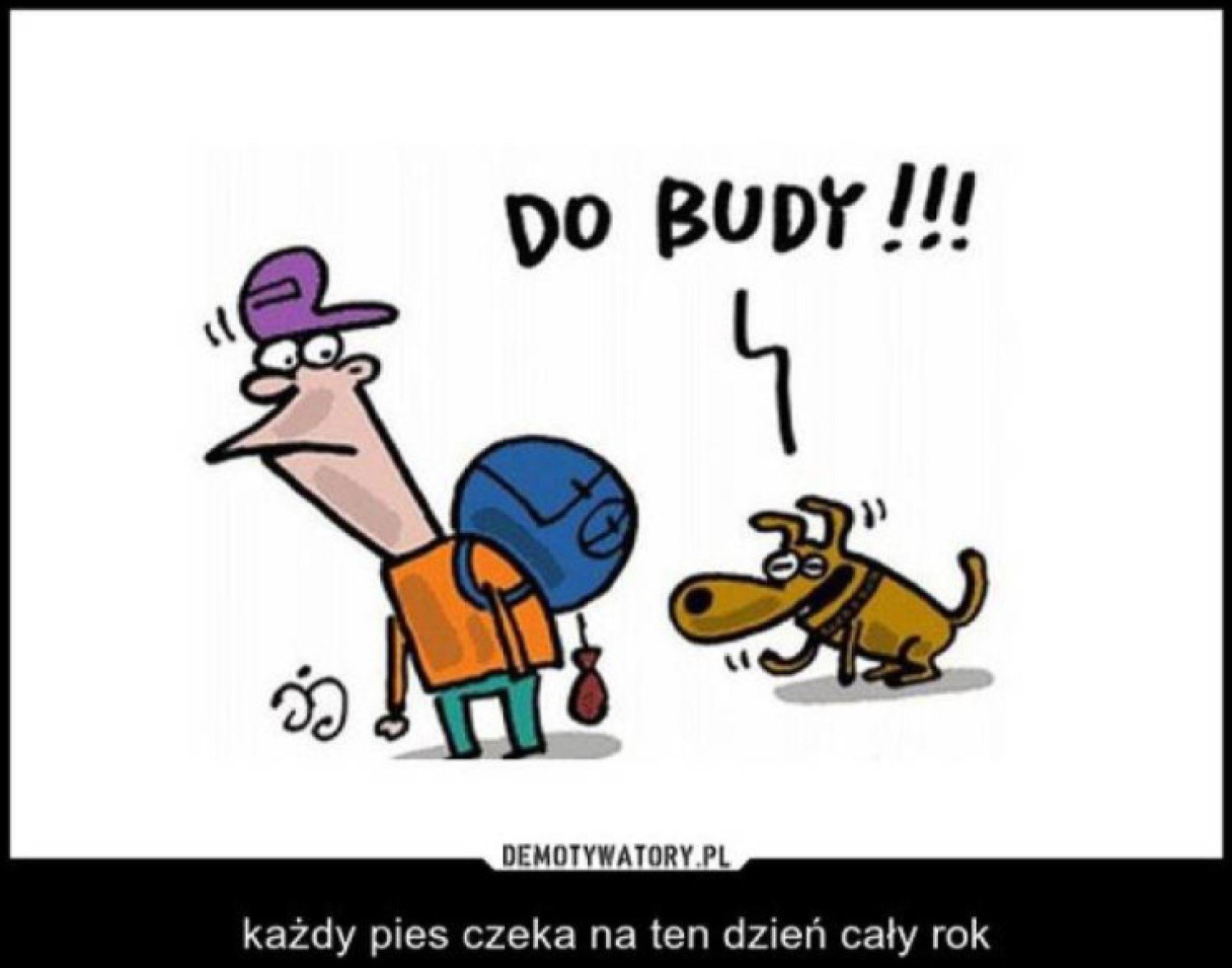 Do budy! 